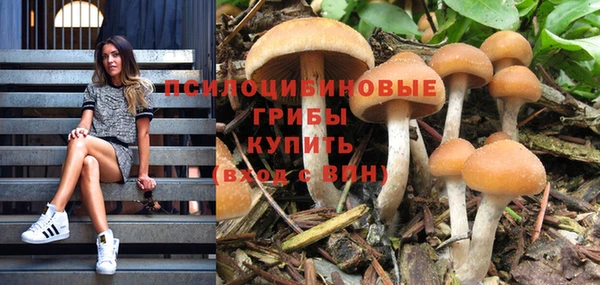 первитин Приозерск