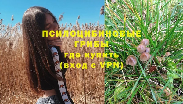 ПСИЛОЦИБИНОВЫЕ ГРИБЫ Протвино