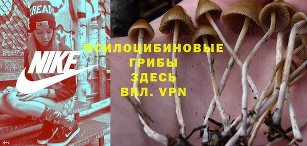 ПСИЛОЦИБИНОВЫЕ ГРИБЫ Протвино