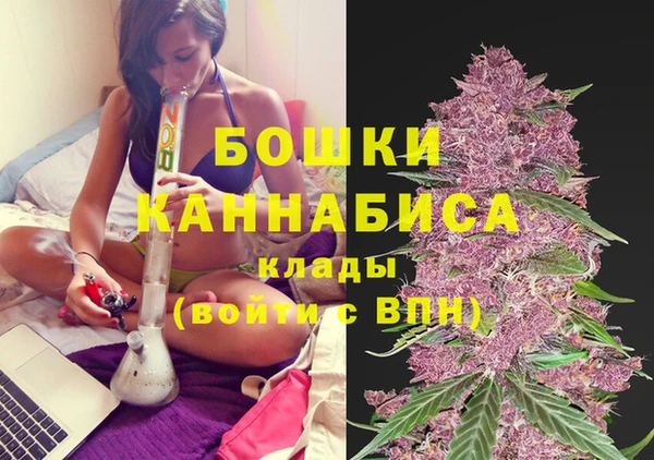 ПСИЛОЦИБИНОВЫЕ ГРИБЫ Протвино