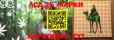 шишки Заводоуковск