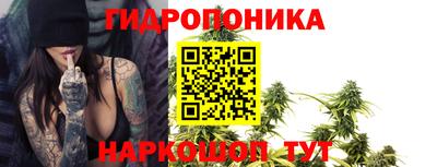 шишки Заводоуковск