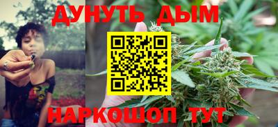 шишки Заводоуковск