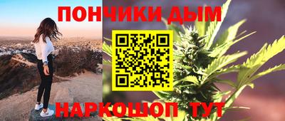шишки Заводоуковск