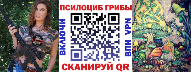Псилоцибиновые грибы Cubensis  площадка какой сайт  Татарск 