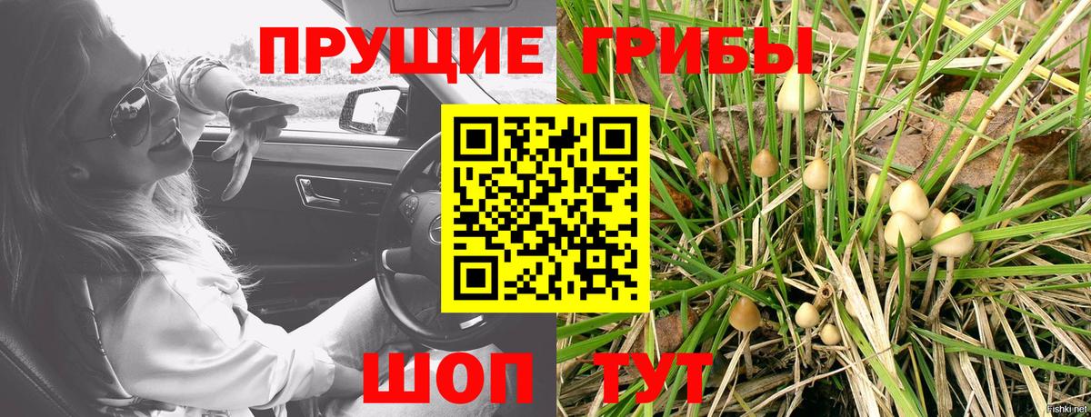 Татарск  Псилоцибиновые грибы мухоморы  Вход с VPN 
